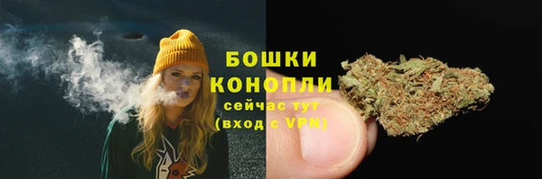 прущие грибы Елабуга