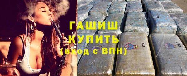 прущие грибы Елабуга