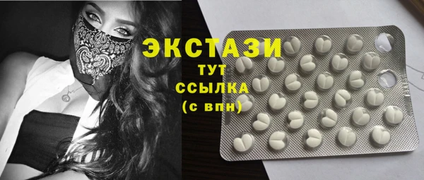 прущие грибы Елабуга